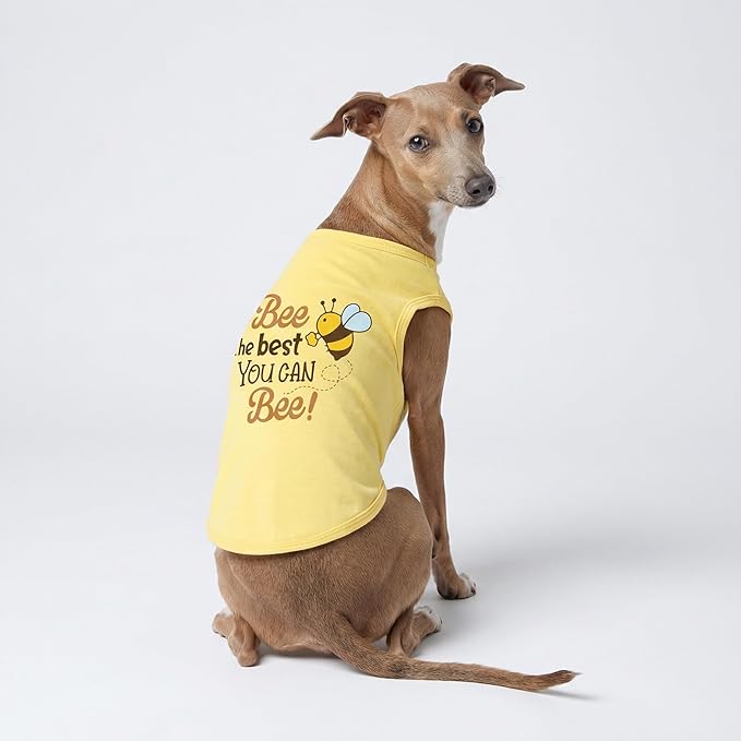 Fitwarm Bee The Best You Can Dog Shirt, Summer Clothes for Small Dogs Boy Girl, Funny Pet Outfit, Yellow, Brown, Blue, Large