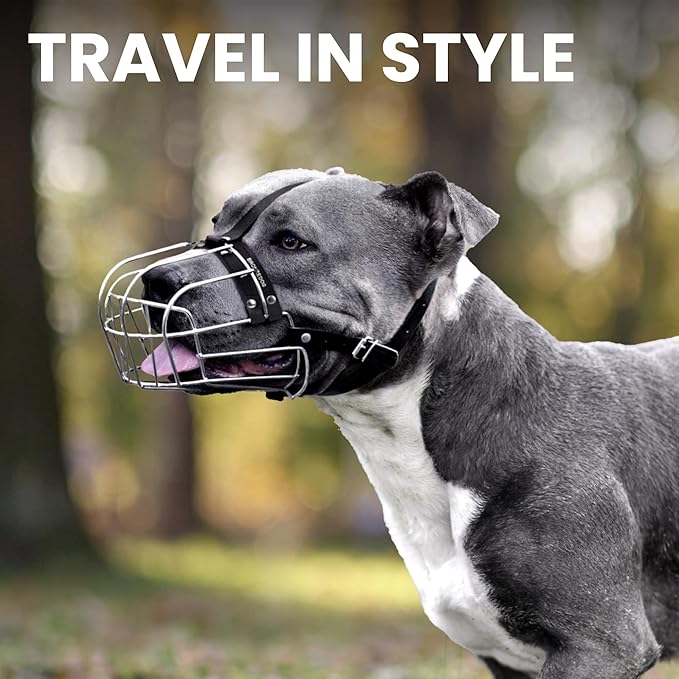 BRONZEDOG Pitbull Dog Muzzle Metal Mask Amstaff Wire Basket Pit Bull Adjustable Leather Straps for Large Dogs (Black)