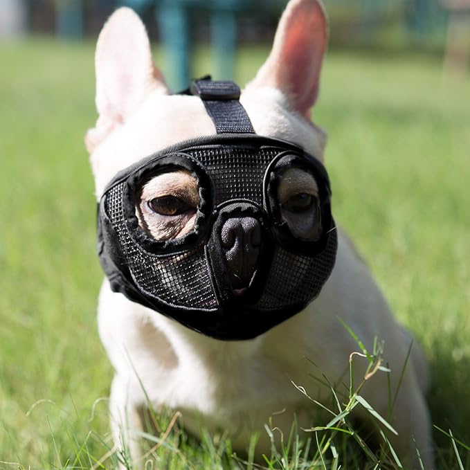 Short Snout Dog Muzzles- Adjustable Breathable Mesh Bulldog Muzzle for Biting Chewing Barking Training