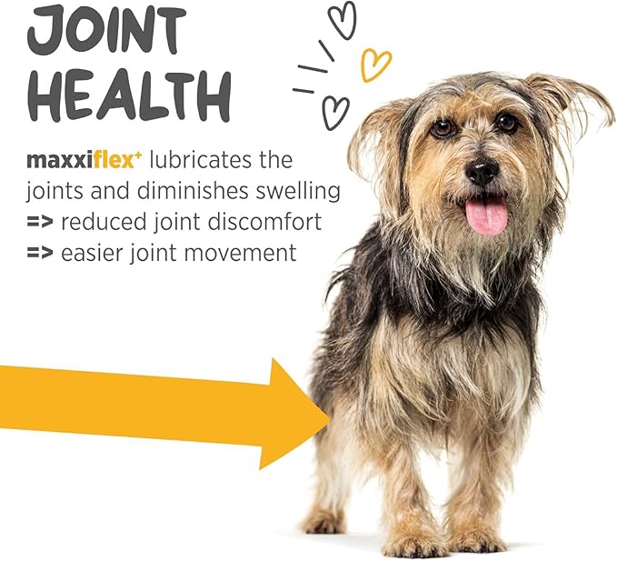 maxxipaws - maxxiflex+ Hip & Joint Supplement for Dogs with Glucosamine, Chondroitin, MSM & Collagen | Mobility, Flexibility & Discomfort Support | Senior, Adult & All Breeds | 60 Tablets