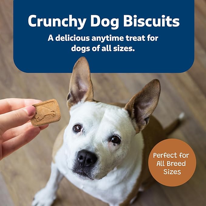 Blue Buffalo Health Bars Crunchy Dog Biscuits,Oven-Baked with Natural Ingredients,Pumpkin & Cinnamon,16-oz Bag,(Pack of 4)