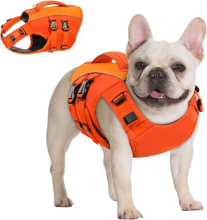 Queenmore XS Dog Life Jacket,Reflective Small Dog Life Vest for Swimming Boating，Adjustable Pet Life Vest for Extra Small Dogs with High Buoyancy,Safety Dog Swimming Vest with Handle(Orange,XS)