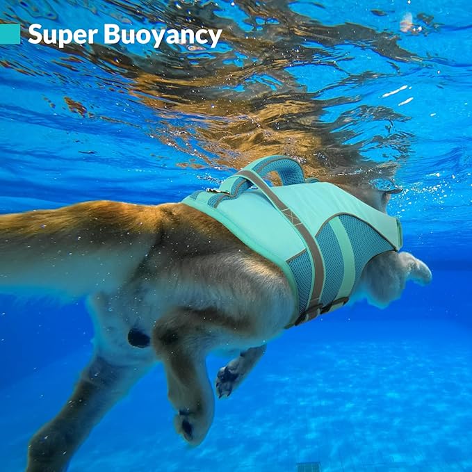 Queenmore Small Dog Life Jacket, Adjustable Ripstop Dog Life Vest for Swimming Boating, Pet Lifesaver with Superior Buoyancy and Rescue Handle, Dogs Swimming Vest for X-Small Dogs（LightBlue,XS）
