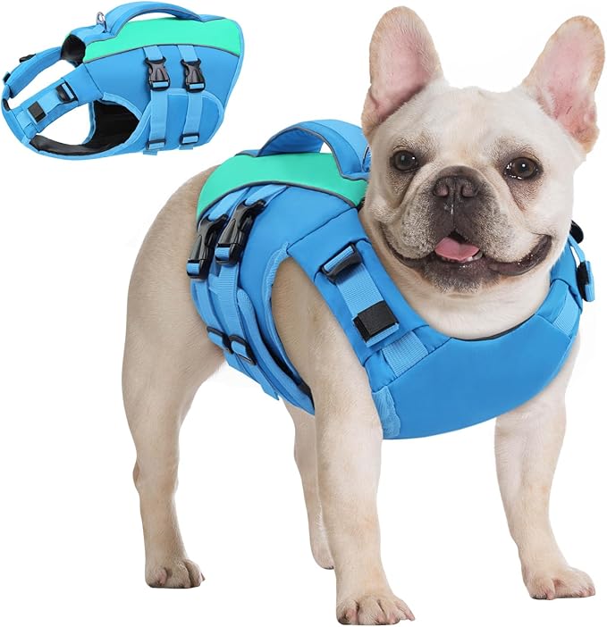 Queenmore XS Dog Life Jacket,Reflective Small Dog Life Vest for Swimming Boating，Adjustable Pet Life Vest for Extra Small Dogs with High Buoyancy,Safety Dog Swimming Vest with Handle(Blue,XS)