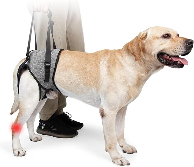 Dog Harness with Handle, Dog Sling for Large Dogs Hind Leg Support, Adjustable Dog Support Harness for Back Legs Elderly Injured Disabled Dogs with Reserved Urination Groove, Removable Sponge Handle