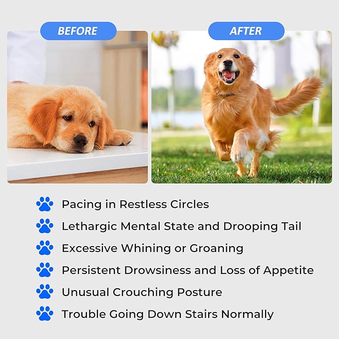 24 Diodes Pet Cold Laser Therapy Device for Dogs, Near Red Light Therapy for Cat Joint, 650nm*16+808nm*8, Muscle Relax and Pain Relief, Horse Infrared Machine at Home Accelerate Healing Equine Hip
