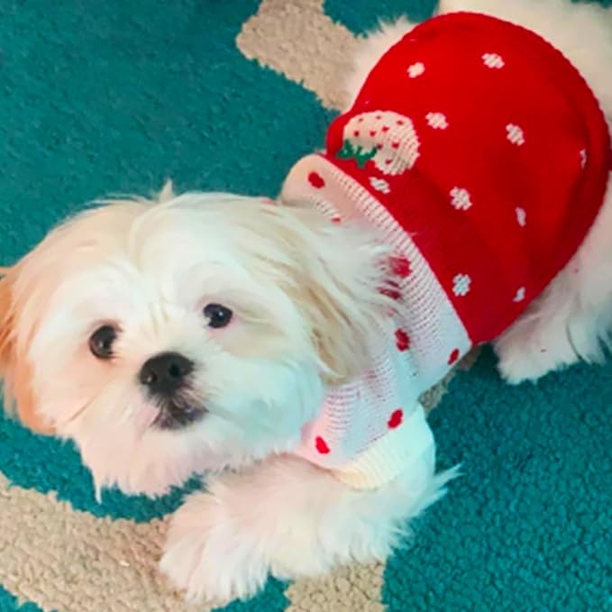 CHBORCHICEN Pet Dog Sweaters Classic Knitwear Turtleneck Winter Warm Puppy Clothing Cute Strawberry and Heart Doggie Sweater (Red1, XX-Small)