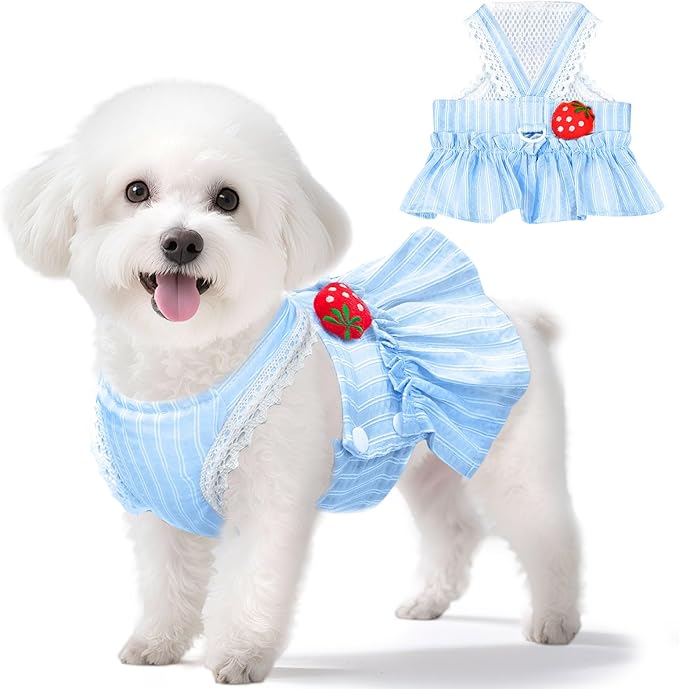 Cute Strawberry Small Dog Dress with D-Ring Princess Lace Girl Female Dog Clothes Spring Summer Breathable Mesh Pet Puppy Cats Harness Dress for Shih Tzu Yorkies Chihuahua(Blue,XX-Large)