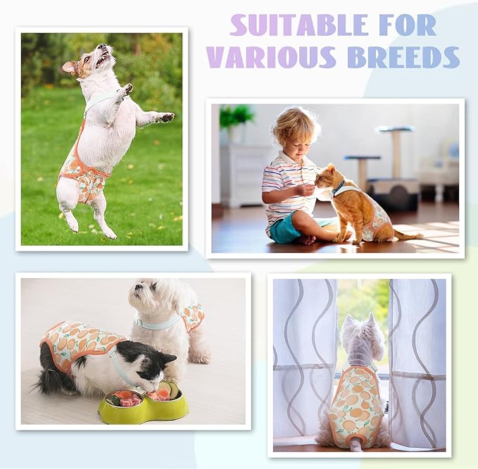 QBLEEV Dog Diapers Female Washable Sanitary Pantie with Adjustable Suspender, Reusable Doggie Period Panties, Pet Underwear Diaper Jumpsuits for Male Dogs in Heat, Puppy Diapers for French Bulldog M