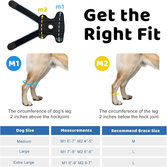 Dog Knee Brace for ACL Tear, Arthritis, Patella Luxation & Post-Surgery Support - Breathable, Adjustable Canine Leg Brace for Pain Relief & Mobility, for Medium & Large Dogs(L)