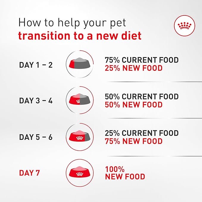 Royal Canin Breed Health Nutrition French Bulldog Wet Dog Food for Adult Dogs, Loaf Wet Food for French Bulldogs 12 Months+, Supports Digestive Health and Bone & Joint Health, 3 oz can