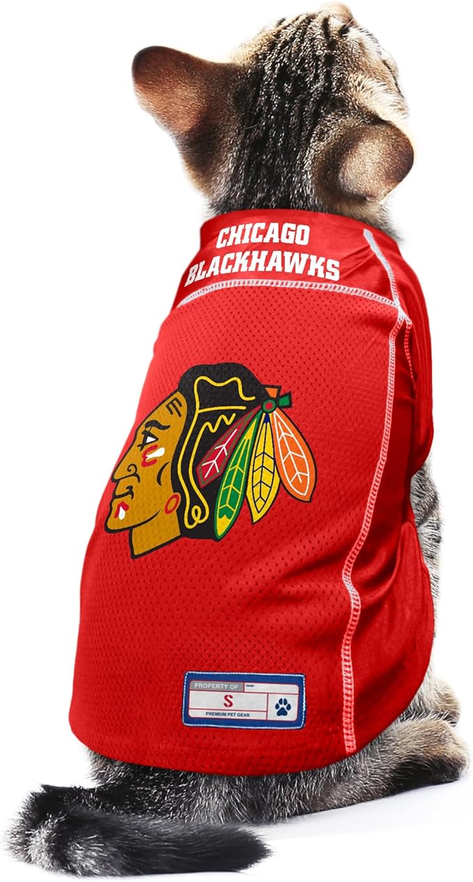 Littlearth NHL Detroit Red Wings Basic Pet Jersey, Team Color