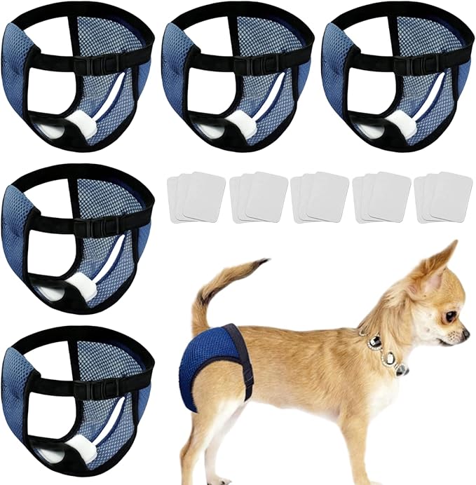 Every Pet Reusable Diapers with 3 Replace Diaper,Breathable Mesh Washable Dogs Sanitary Pads,Menstruation Diapers Panties Adjustable Sanitary Briefs for Small Medium and Large Dogs(5PCS Blue,Large)