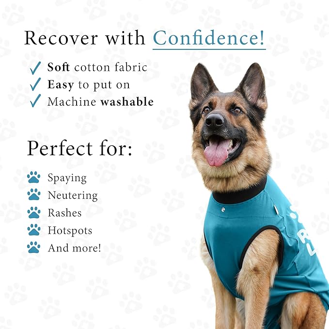 BellyGuard Dog Surgery Recovery Suit, Dog Onesie for Post-Op Care, Recovery Apparel for Female and Male, Surgical Body Cover for Canine Healing Support