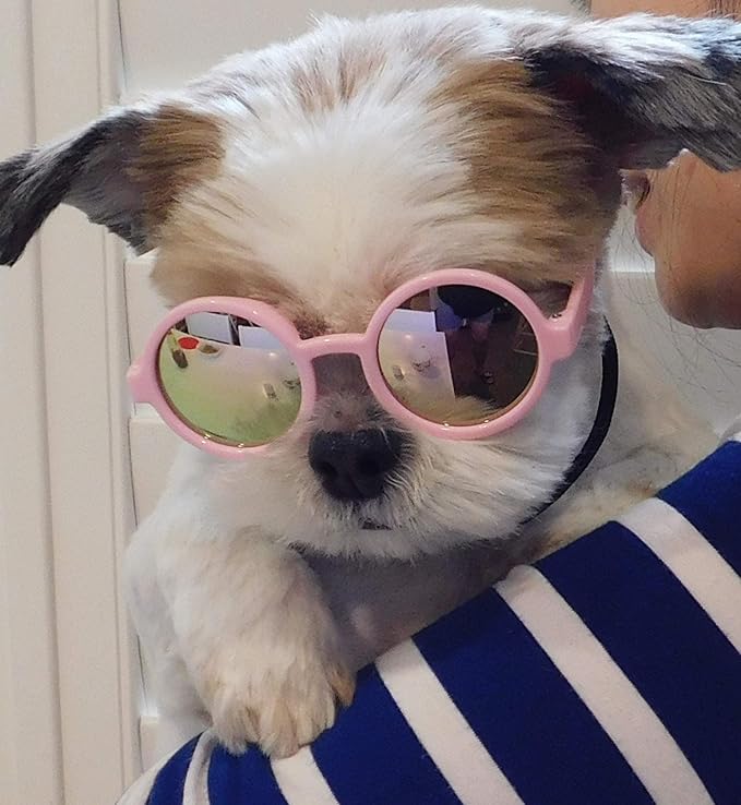 G016 Dog Pet Round Sunglasses Goggles for Small Dogs up to 15lbs (Pink-Pink Mirror)