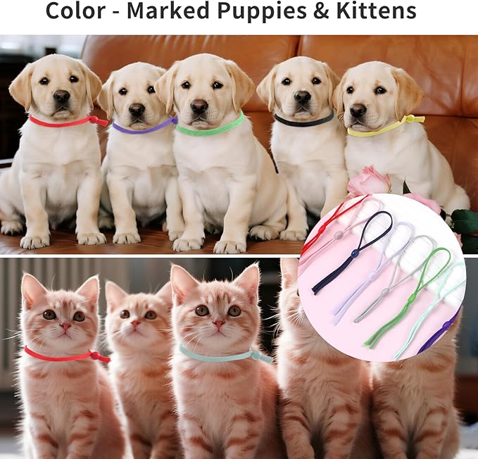 60PCS Stretchy Whelping Collars for Litter, Elastic Puppy Litter Collars Colored Whelping Identification Bands Adjustable Identification Loops for Newborn Puppies and Kittens 12 Colors (Small-3 Inch)