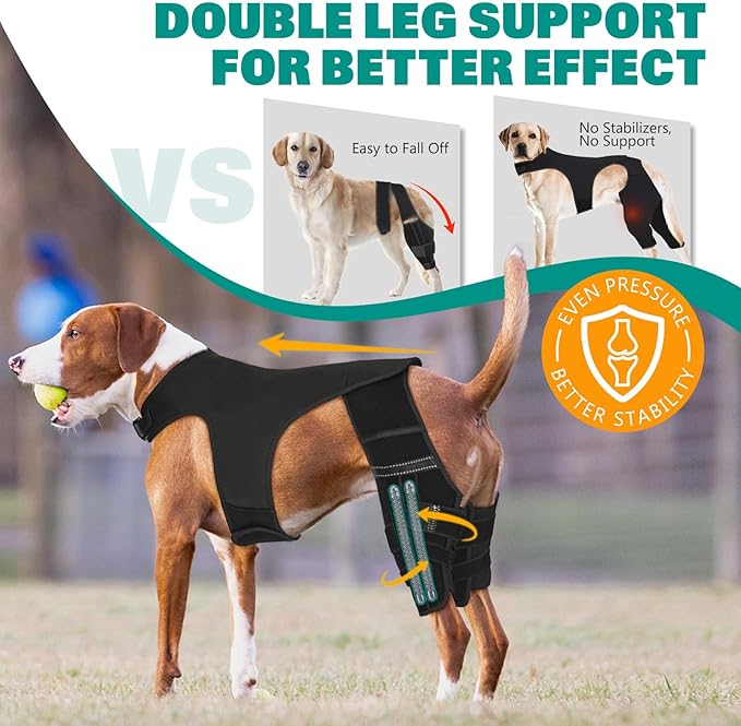 Dog Knee Brace for Hind Legs ACL Support - Adjustable Double Back Leg Brace for Dogs with Joint Pain Relief, Luxating Patella, Arthritis Recovery, Hip Dysplasia (Small)