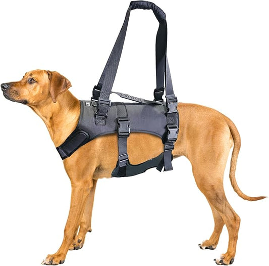 Doggie Stylz Dog Lift Harness for Large Dogs Full Body Support Sling Dog Carrier has Adjustable Handles Recovery Vest for Senior Dogs, Arthritis Joint Injuries, Mobility Aid Back Leg Support (Medium)