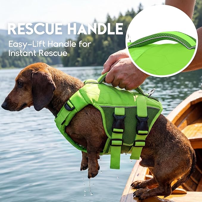 ASENKU Dog Life Jacket, High-Buoyancy Reflective Dog Swimming Vest with Durable Handles for Small/Medium/Large Dogs - Pool, Beach, Boating (Green, M)