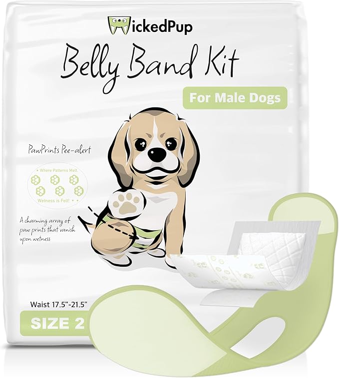 WICKEDPUP Male Dog Belly Band Kit, 50 Diaper Pads & 1 Reusable Male Wrap (Size 2 (17.5"-21.5" Waist))