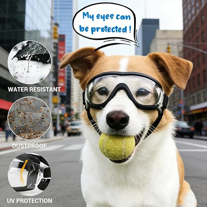 NAMSAN 2 Pair of Dog Goggles, Clear/Black, UV Protection Dog Sunglasses for Medium to Large Dogs, Windproof Driving Dog Eye Protection, Dog Glasses with Elastic Straps, Adjustable