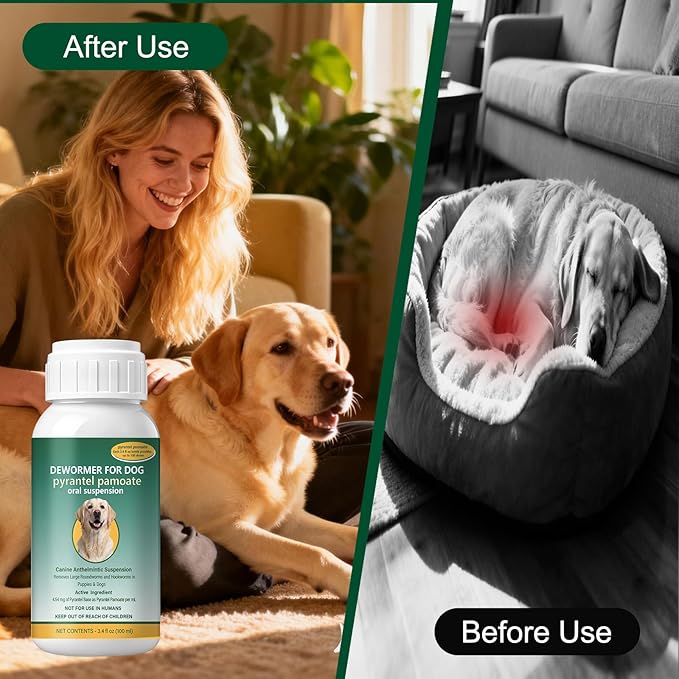 Dog Dewormer Liquid for Large Dogs for All wormers – Pyrantel Pamoate for Roundworms & Hookworms, 100 mL (3.4 fl oz) ﻿