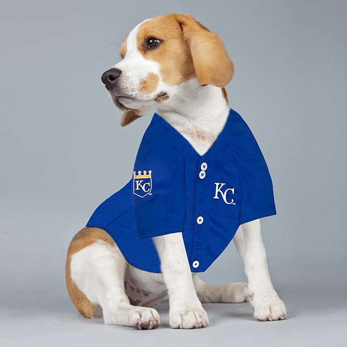 Pets First MLBPA Bobby WITT Jr. Player Jersey #7 Pet Jersey - MLB Kansas City Royals Mesh Players, Size Large