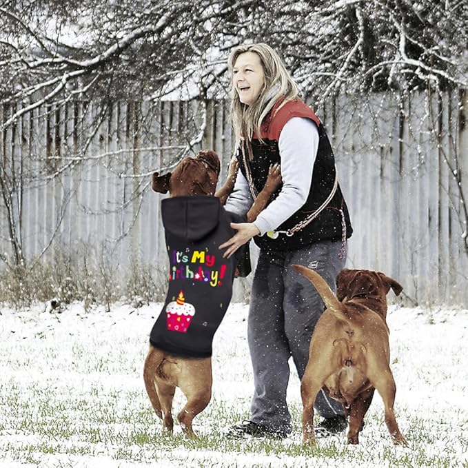 GreenJoy Dog Sweater Dog Hoodie Cold Weather Coat Hooded Sweatshirt for Puppies,Cats, Small Medium Large Dogs (Black(It's My Birthday), X-Small)