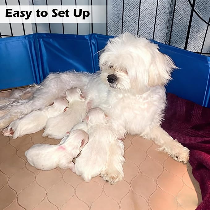 Artilife Dog Whelping Box Pool,Whelping Box for Dogs Birthing,Welping Box Whelping Pen for Puppies Whelping Supplies