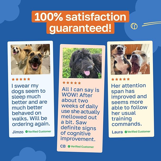 Happy Paws Cognitive Taurine Supplement for Dogs, Soft Chews with Spirulina, CoQ10 & Vitamins B1, B3, B12, Senior Dog Vitamins That Support Cognitive Function, Memory and Focus,