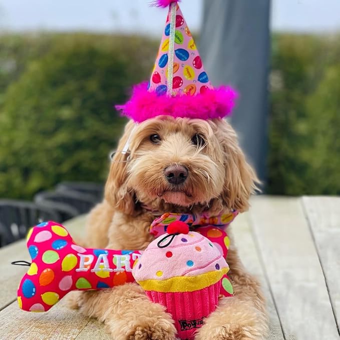 Huxley & Kent Pet Party Hat for Dogs & Cats - Fun Birthday Hat with SnugFit Adjustable Straps - Comfy Pet Costume Accessory for Parties, Gotcha Days & Celebrations - Pink, Large