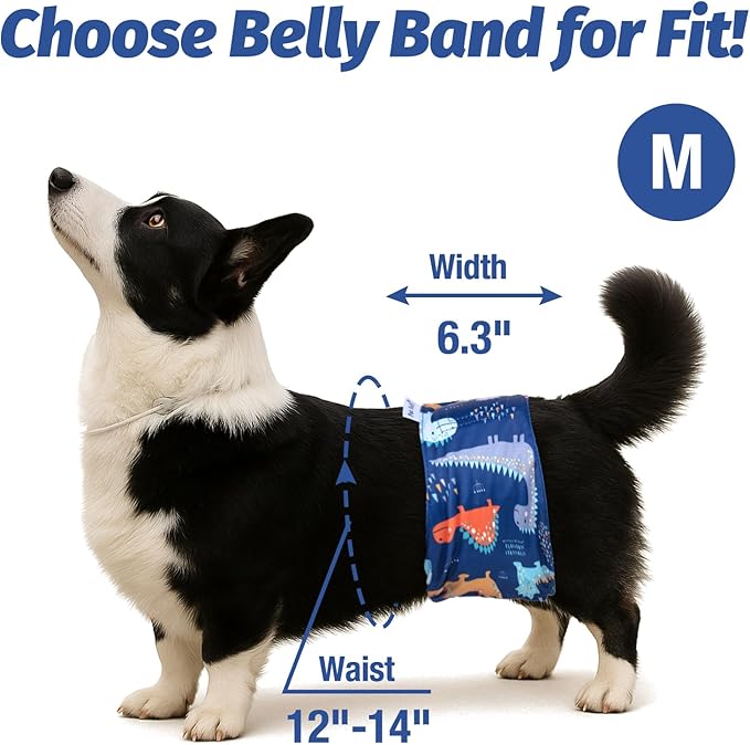 Pet Soft Dog Belly Band - 3 Packs Reusable Dog Diapers Male Doggy Diapers Wraps - Washable Dogs Belly Bands for Male Dogs (Dino, M)