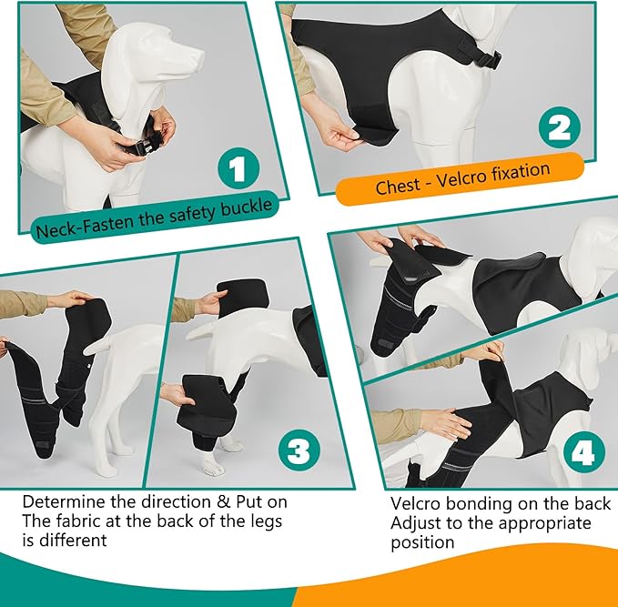 Dog Knee Brace for Hind Legs ACL Support - Adjustable Double Back Leg Brace for Dogs with Joint Pain Relief, Luxating Patella, Arthritis Recovery, Hip Dysplasia (Small)