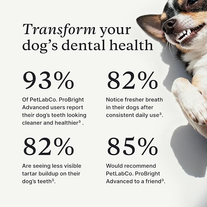 PetLab Co. ProBright Advanced Dental Powder - Dog Breath Freshener - Teeth Cleaning Made Easy – Targets Tartar & Bad Breath - Packaging May Vary - Formulated for Small Dogs