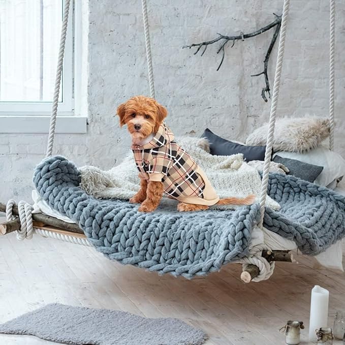 EXPAWLORER Plaid Dog Hoodie - British Style Warm Dog Sweater Shirt with Leash Hole,Pitbull Clothes Outfits,Winter Coat Apparel for All Breeds Puppy Girl Boy-Cat Apparel,Beige Small
