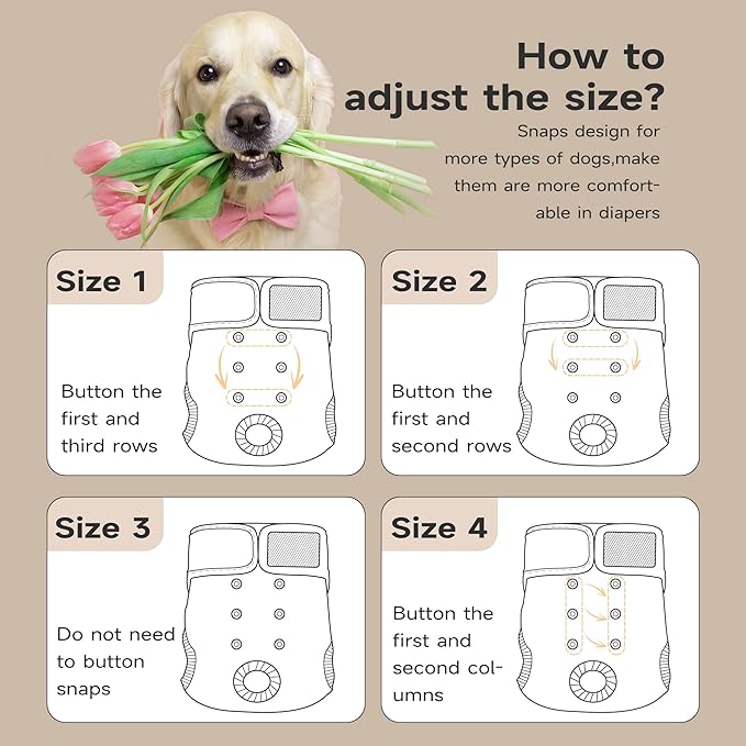 Paw Legend Washable Reusable Female Dog Period Diapers for Heat Doggie Puppy Diapers for Female Dogs (3 Pack, Medium)