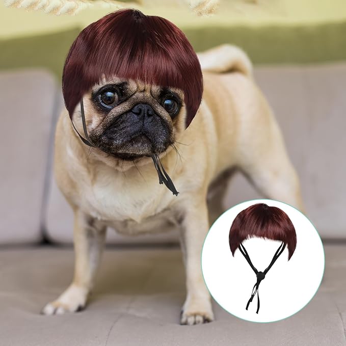 Dog Wigs for Small Dogs, Funny Dog Wig Pet Costume Pet Hair Accessories Elastic Cat Dogs Cosplay Wig Decoration for Halloween, Christmas, Parties（Reddish-Brown, 7 Inches）