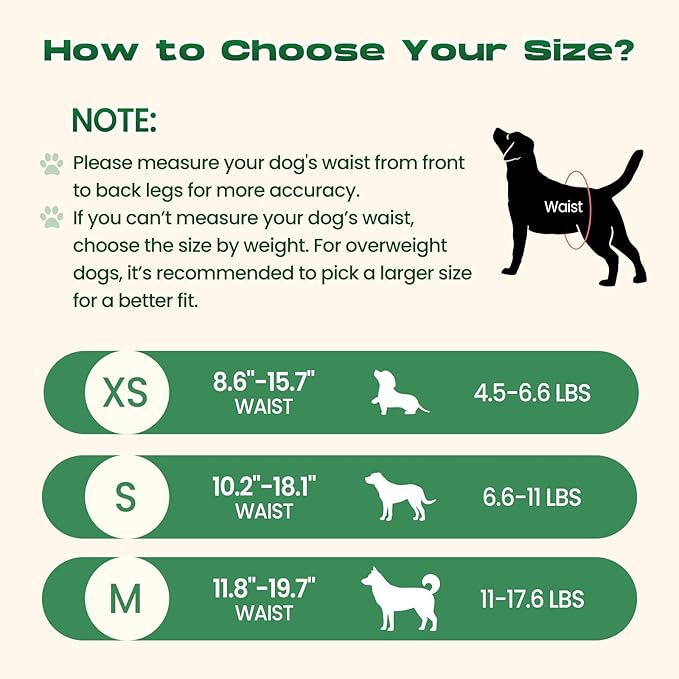 Disposable Dog Diapers Female, 360°Leak-Proof Full Wrap Stretchy Waist, Highly Absorbent Diapers for Female Dog in Heat, Dog Diapers for Period (M 10PCS)