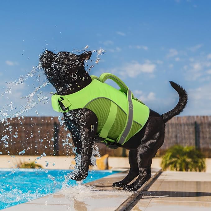 Queenmore Dog Life Jacket, Adjustable Ripstop Dog Life Vest for Swimming Boating, Doggy Lifesaver with Superior Buoyancy and Rescue Handle, Pet Swimming Vest for Large Dogs（Green,L）