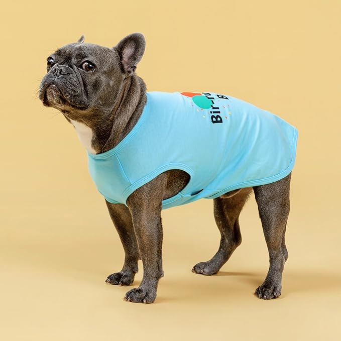 Fitwarm Birthday Boy Dog Shirt, Bir-Ruff-Day Boy Funny Dog Clothes for Small Dogs Boy, Pet Birthday Outfit, Cat Tshirt, 100% Breathable Cotton, Aqua Blue, XL