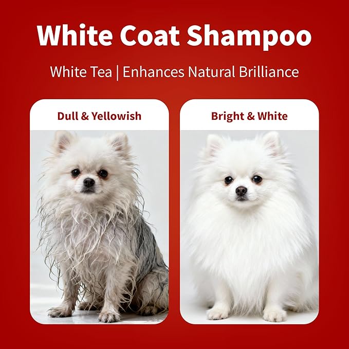Arf Arf Whitening Dog Shampoo with White Tea & Oatmeal - German pH-Balanced Formula for White Dogs - Removes Yellowing for Maltese & Samoyeds - Gentle Brightening Wash - Fresh Scent, 16oz
