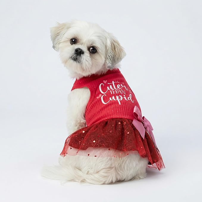 Fitwarm Cuter Than Cupid Dog Tulle Dress, Cute Girl Dog Clothes, Funny Pet Apparel, Burgundy Red, Large