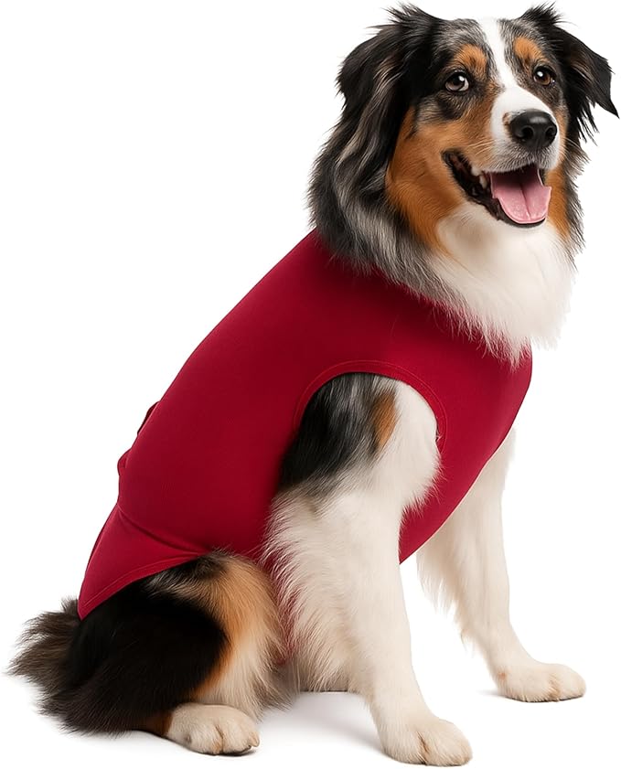 SurgiSnuggly Disposable Dog Diapers Female or Male Dogs, Great Cover for Female Dog Diapers for Heat Cycle and Better Than Dog Suspenders- Wrap Around Legs for Superior Fit ML RED DK
