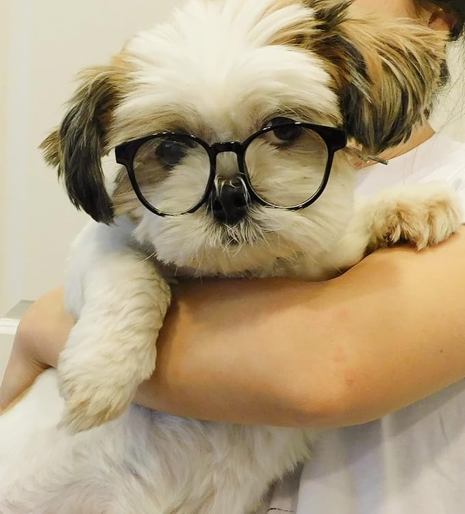 G015 Dog Cat Pet Round Costume Glasses for Small Breeds up to 15lbs (Panto Black-Clear Lens)