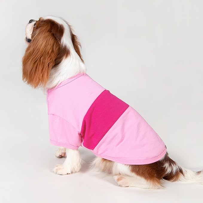 Fitwarm 3 Pack Color Block Striped Dog Shirt, Summer Dog Clothes for Small Dogs, Breathable Lightweight Dog Tshirt, Pet Outfit, Pink, Orange, Purple, Medium