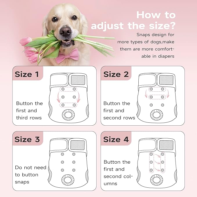 Paw Legend Washable Reusable Female Dog Period Diapers for Heat Doggie Puppy Diapers for Female Dogs (3 Pack,Medium)