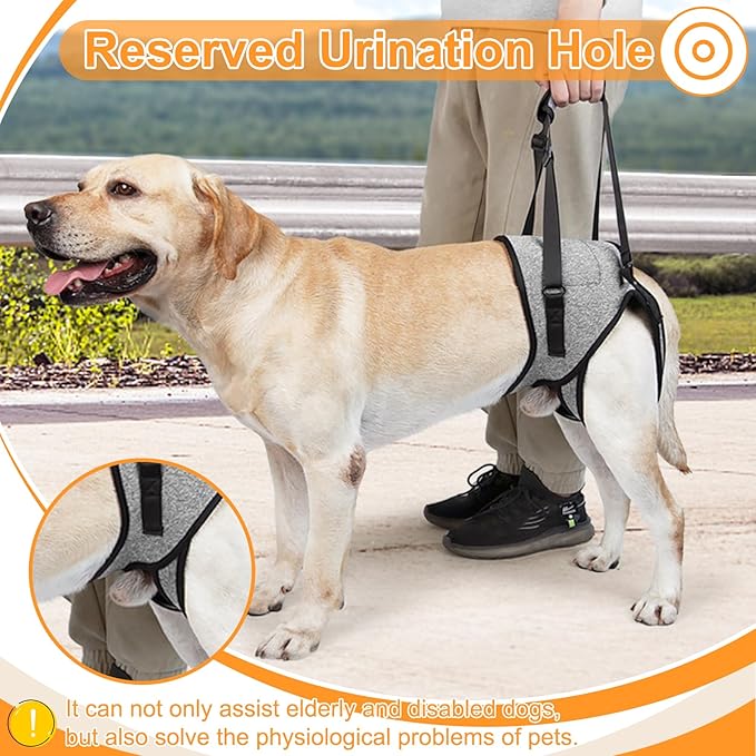 Dog Harness with Handle, Dog Sling for Large Dogs Hind Leg Support, Adjustable Dog Support Harness for Back Legs Elderly Injured Disabled Dogs with Reserved Urination Groove, Removable Sponge Handle