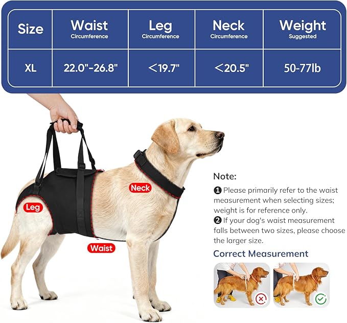 Supet Dog Sling for Large Dogs Hind Leg Support, Senior Dogs Lift Assist Harness for Weak Back Leg Support, Help Large Breed Rear Leg Up Harness, Mobility Aids for Elderly, Injured, Paralyzed Dog, XL