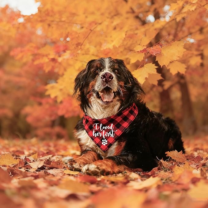 Funny Cute Engagement Red Plaid Pet Dog Cat Bandana Scarf I Loved Her First for Dog Lover Owner Wedding Photo Props