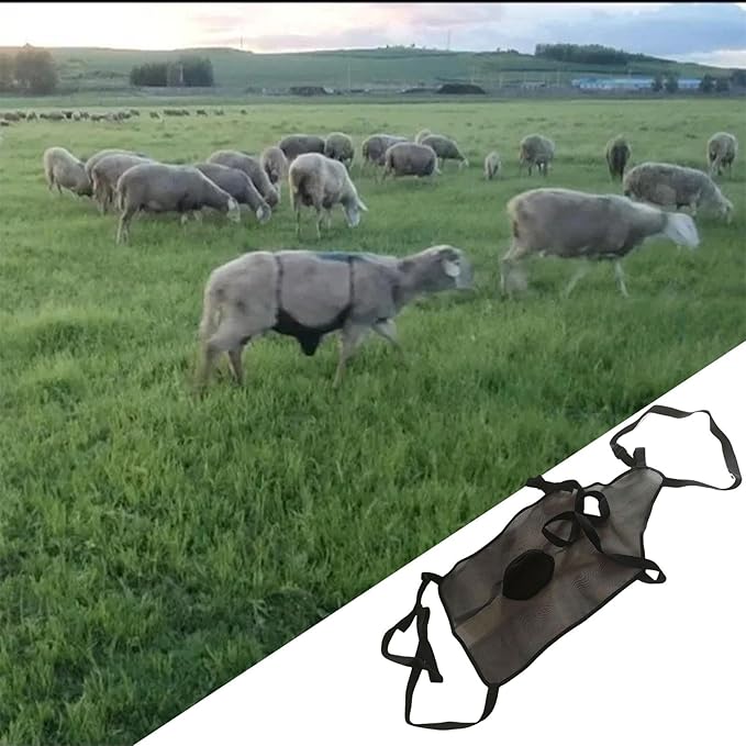 Goat Protective Apron - Anti Mating Animal Protective Wear, Anti Breeding Sheep Supplies Harness | Livestock Clothing with Adjustable Strap, Sheep Skirt for Animal Health